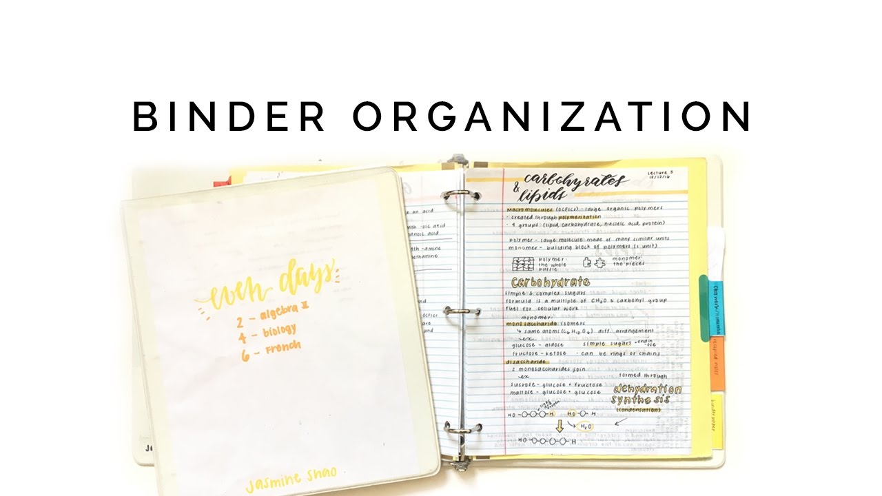 how to organize your binder 📒 staying organized for school