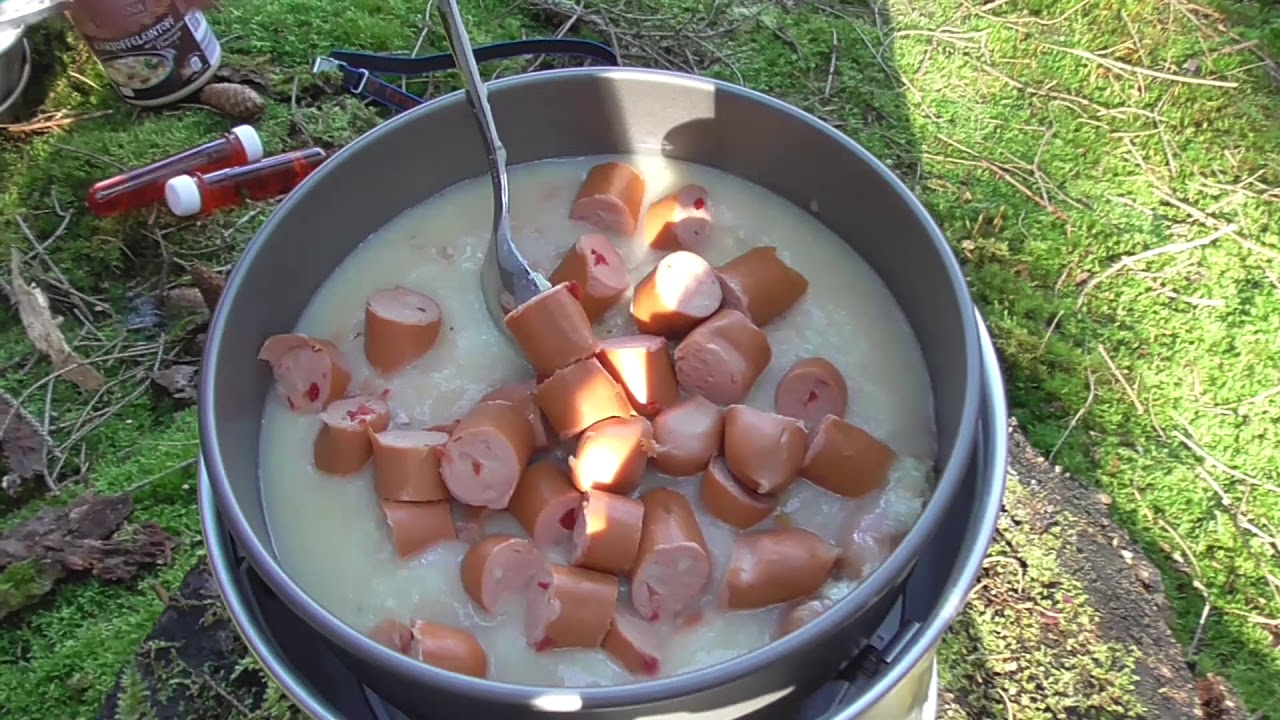 Pilze sammeln in Hessen -  Die Waldläufer auf Tour