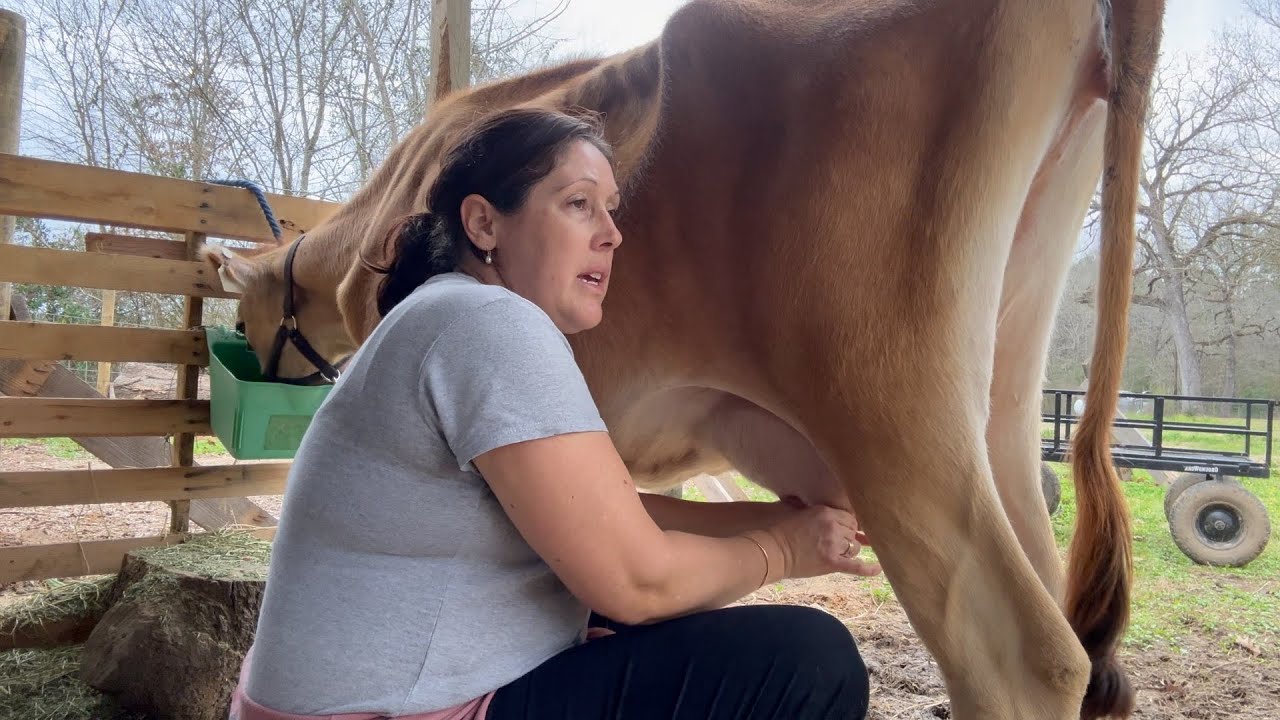 Hundred Days of Homesteading - Day 1