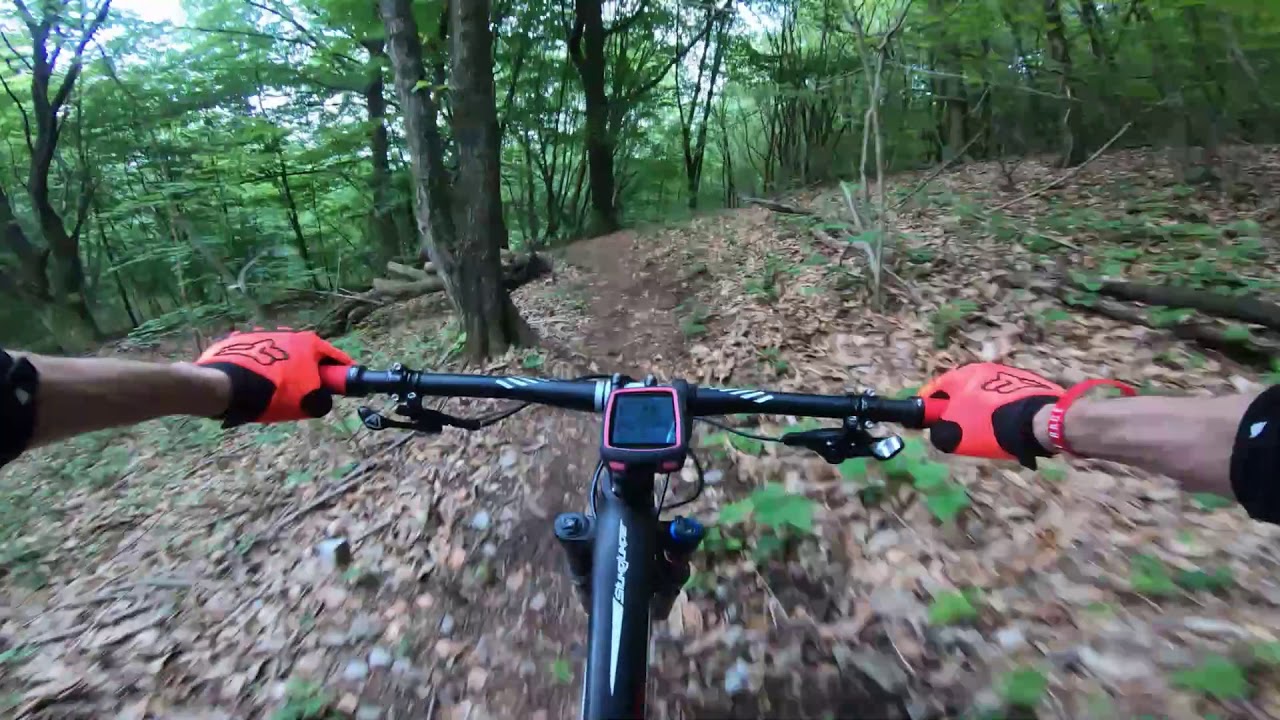 Panda trail 2020