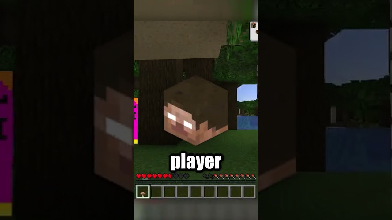 minecraft the secret item you don&rsquo;t know about #shorts