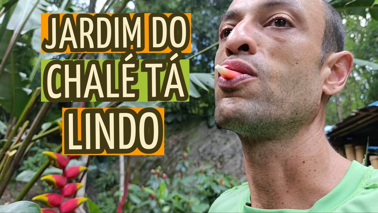 DIA DE JARDINAGEM NO CHALÉ, E ESTÁ TUDO LINDO