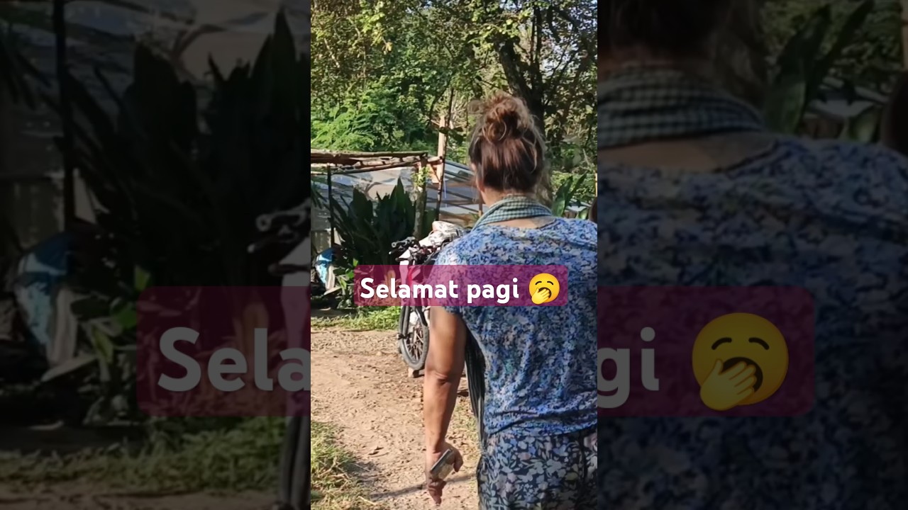 Selamat pagi #sofiabulekampung #bulekampung #istribule #bule #kampung