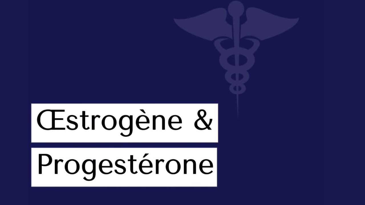 Œstrogène vs progestérone : trouver l’équilibre︱Capsule #3 ︱Clinique Dre Danny-Elle Gingras