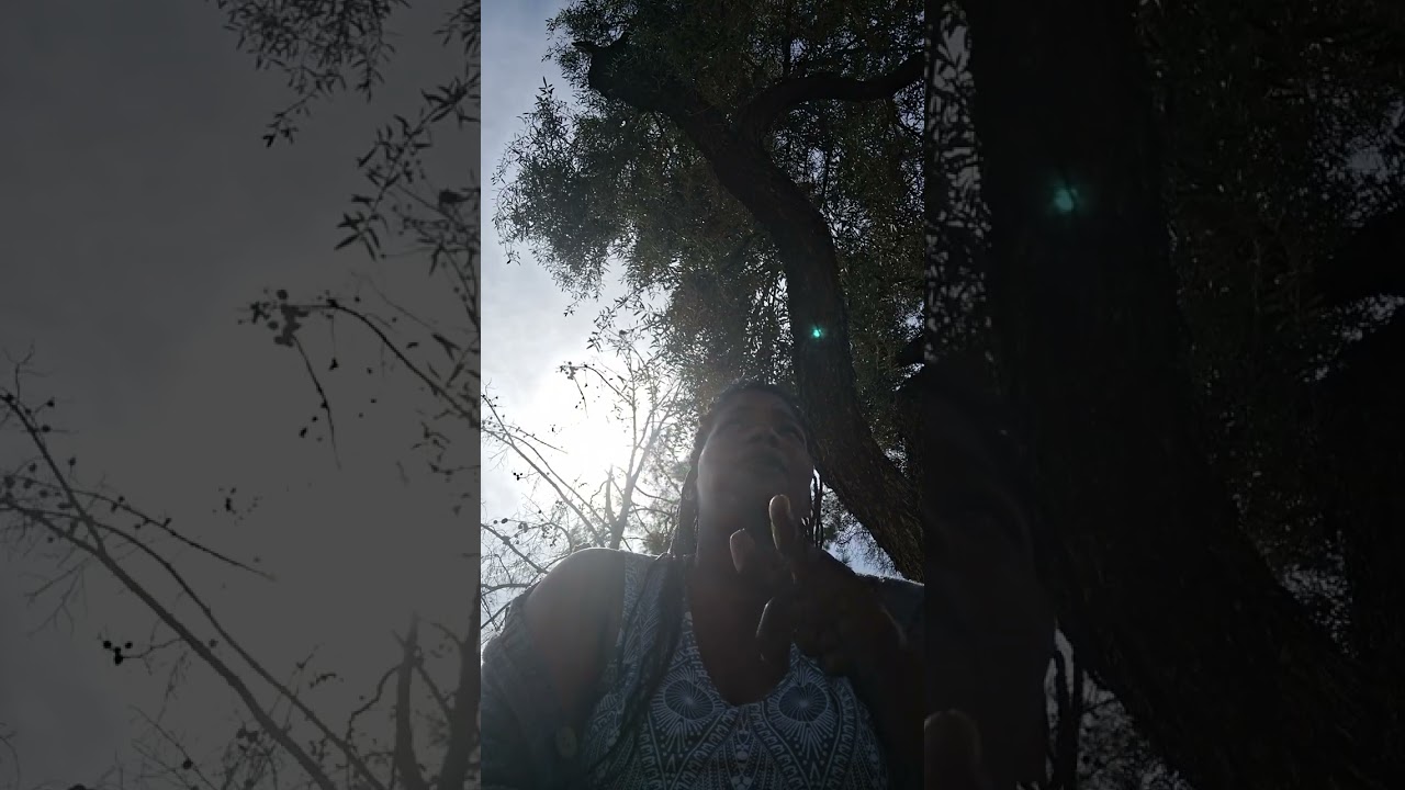 Они готовятся выяснить, насколько ты наказан.