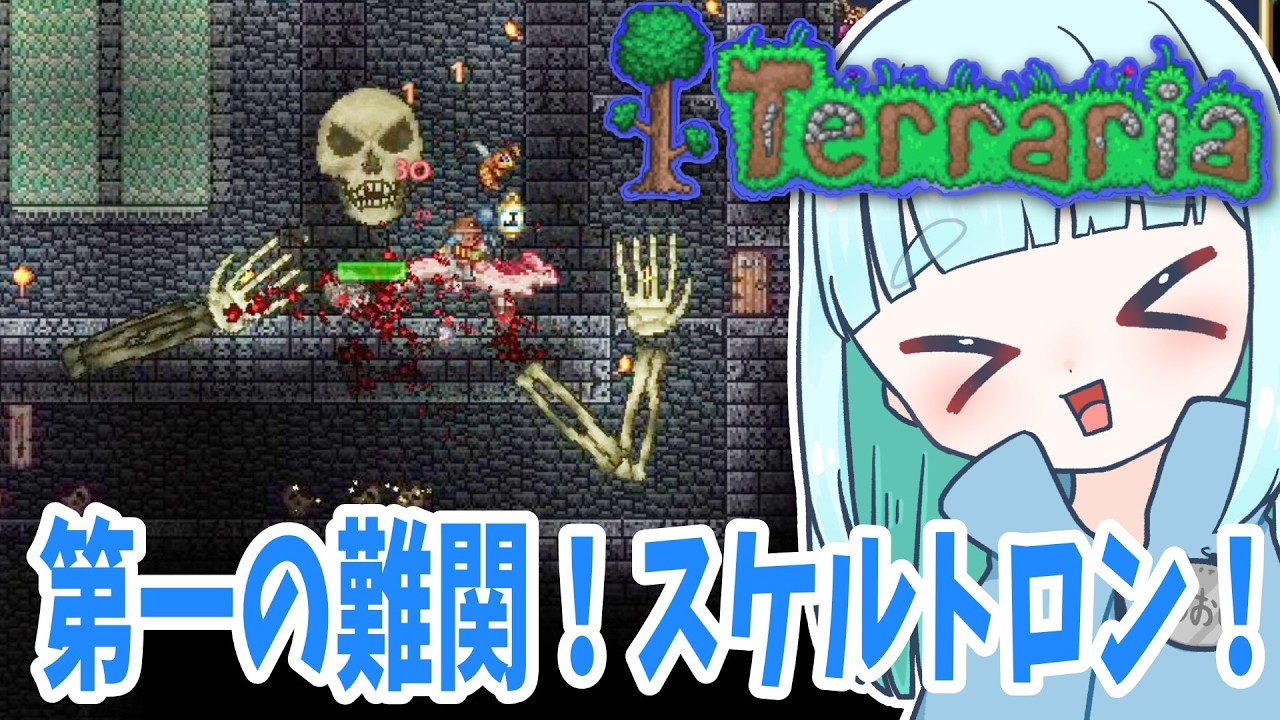 13☆第一の難関！スケルトロン！蒼居の【Terraria】テラリア 大型アップデートがきたTerraria遊んでいく！