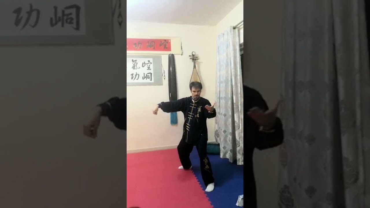 Cheng Tai Chi hand form (Chen Tin Hung&rsquo;s style) demonstrated by Mr Rodrigo