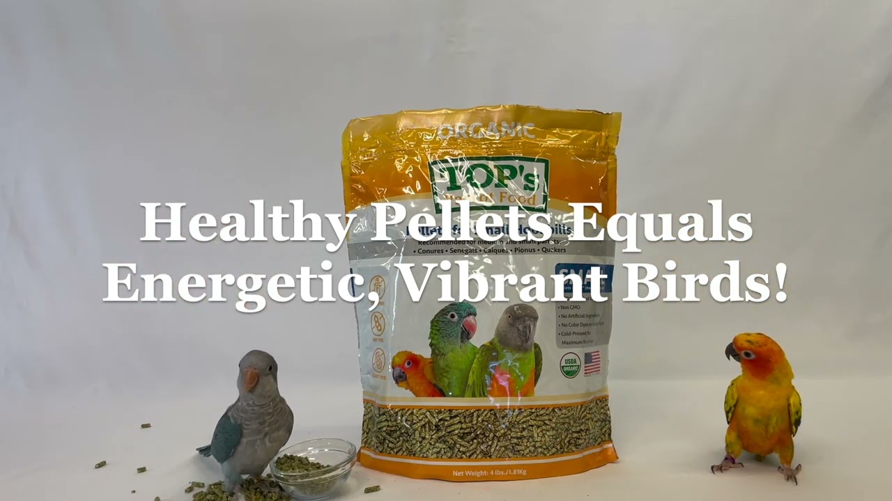 Medium Size Parrots Loves TOP's Healthy Parrot Food Pellets