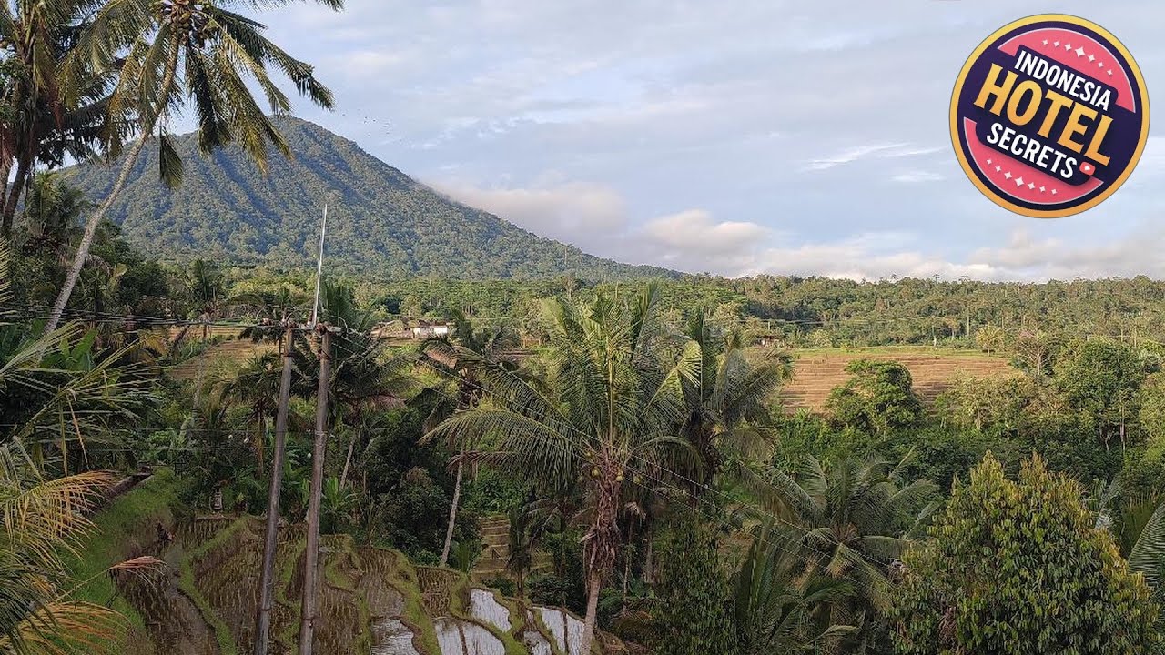 Gunza Bed and Breakfast | Bali, Indonesia | Hotel Review 🏨