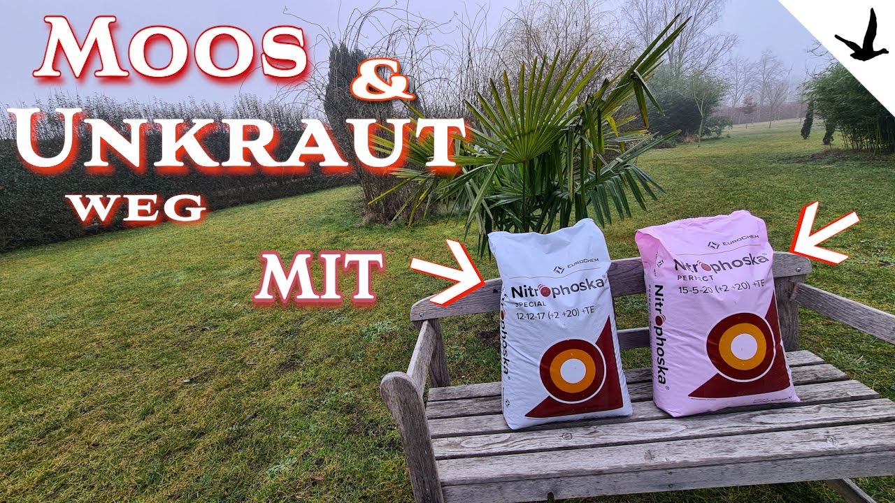 Moos und Unkraut weg mit Nitrophoska✅Diese Spezialanwendung kann das schaffen