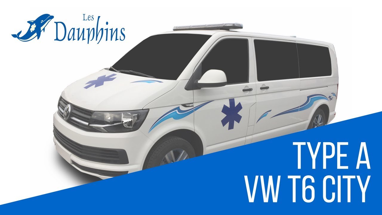 Les Dauphins, Présentation Volskwagen T6 Type A1