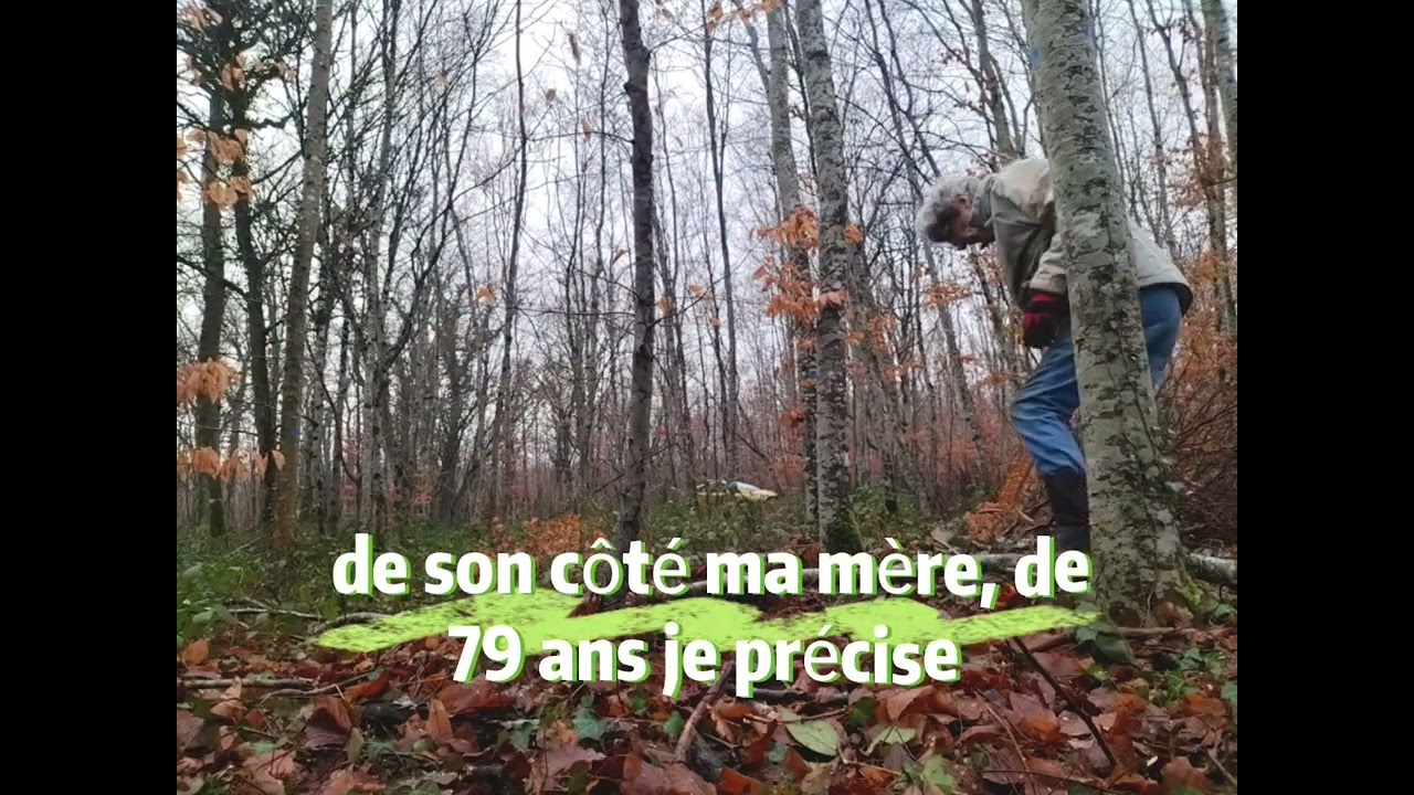 Cette fois-ci j'ai coupé mon bois sans jaqueter