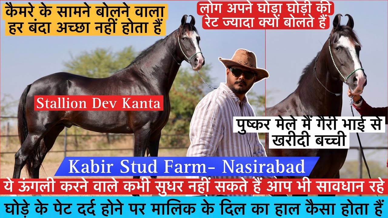 घोड़े की कवरिंग फीस कम कराने वाले भी देखे इस वीडियो को पुष्कर मेले मैं गैरी भाई से खरीदी बच्ची !