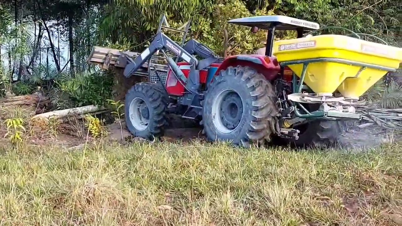 Como preparar o solo para plantar capim.