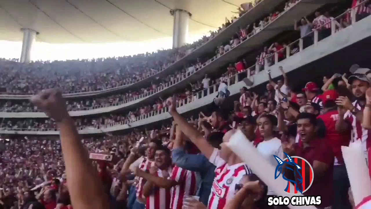 •Goles de Chivas Grabados Desde La Tribuna• | SOLO CHIVAS