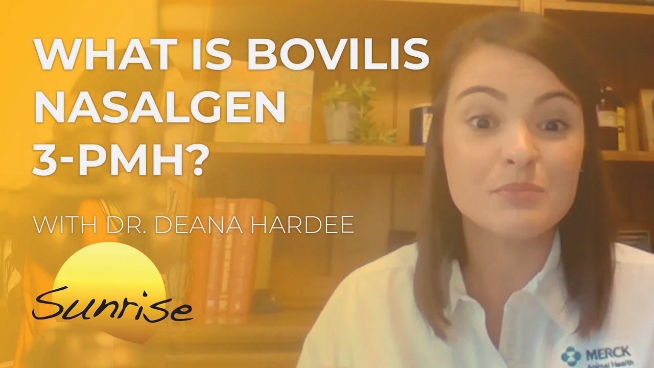 What is Bovilis Nasalgen 3-PMH? | Superior Sunrise