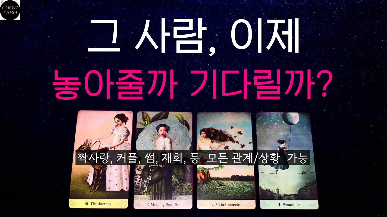 [타로]🦋재회운 • 그 사람 요즘 내 생각 얼마나 자주 할까? 🔮 기다림, 정리 어느 쪽에 더 강할까?