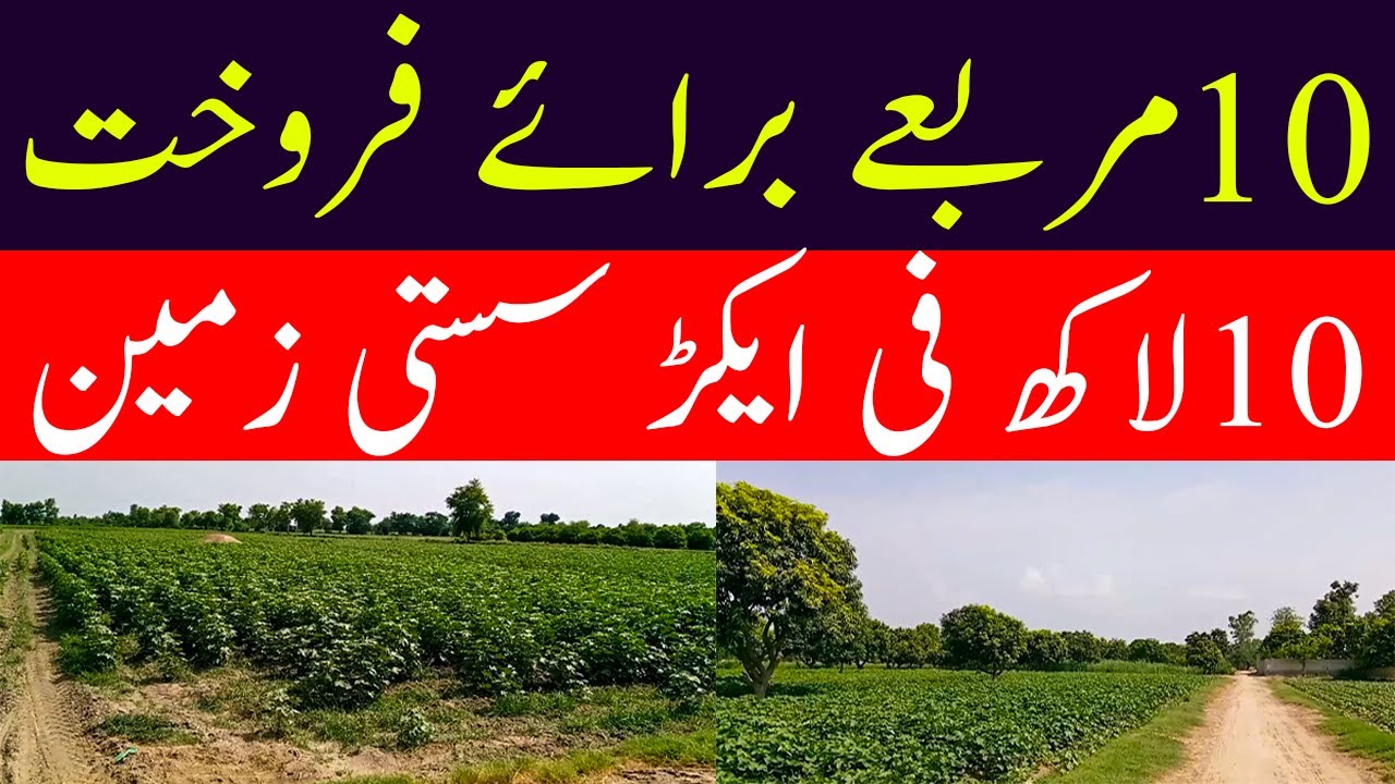 Agriculture Land | دس مربعے زمین برائے فروخت