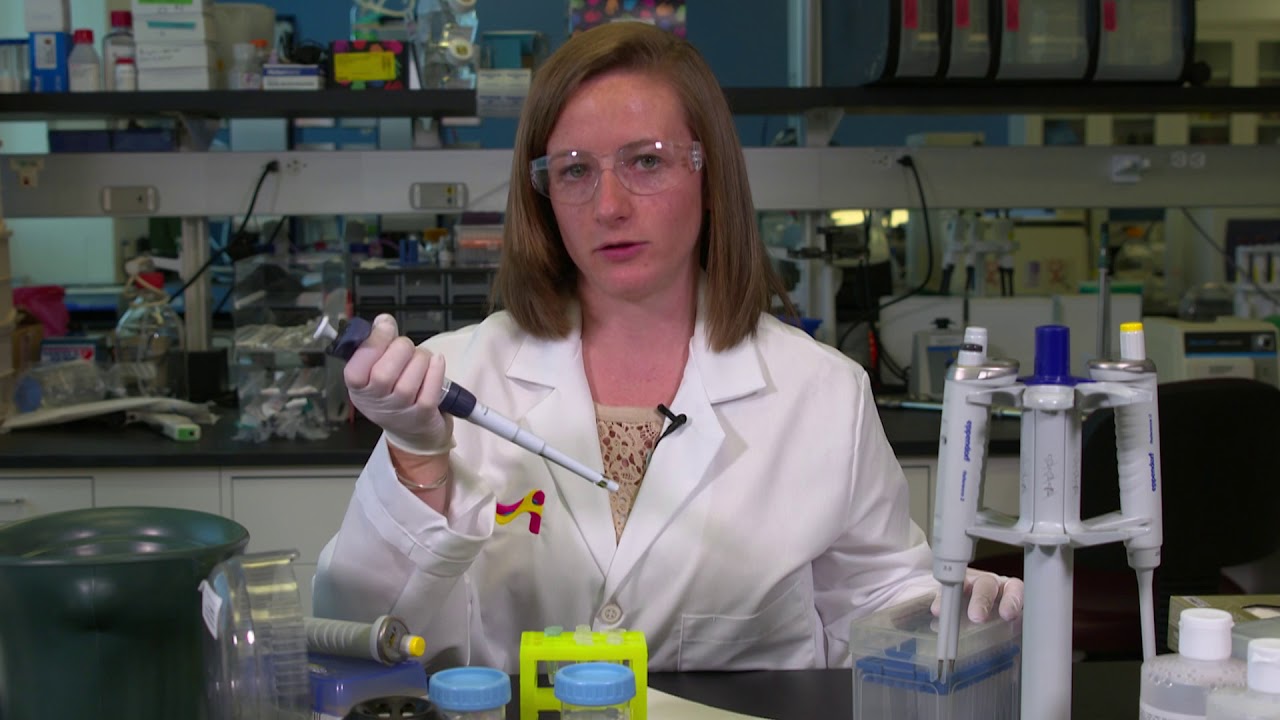 How to Precipitate DNA