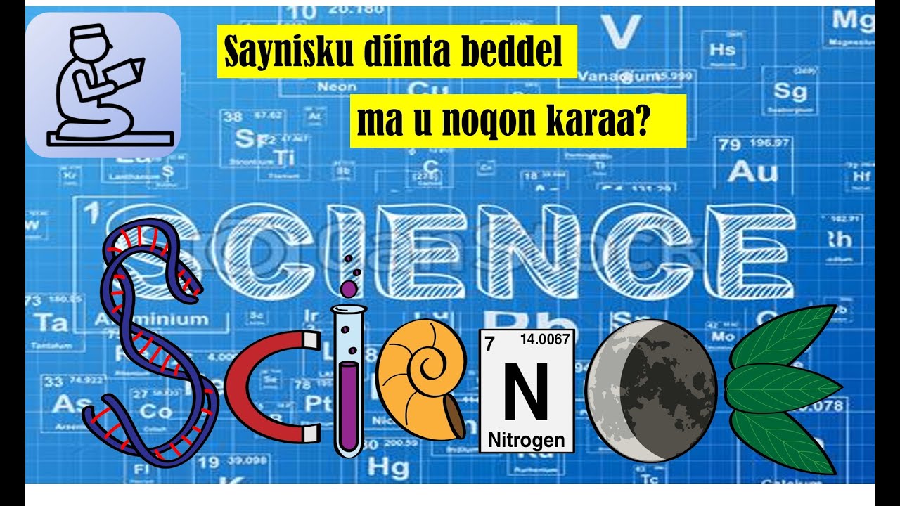 Saynisku Diinta Beddel Ma U Noqon Karaa?