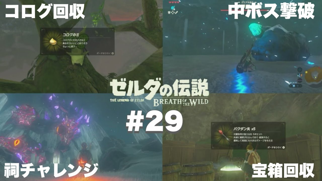 ハテノマップ完全攻略！3 長尺すぎてごめんな動画【ブレワイ 縛りプレイ】＃29