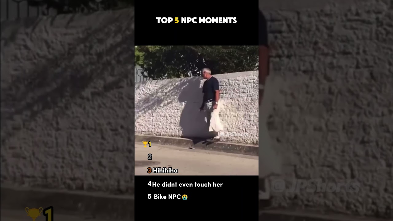 Best NPC Moments #npc #fails #funny #ranking #top5