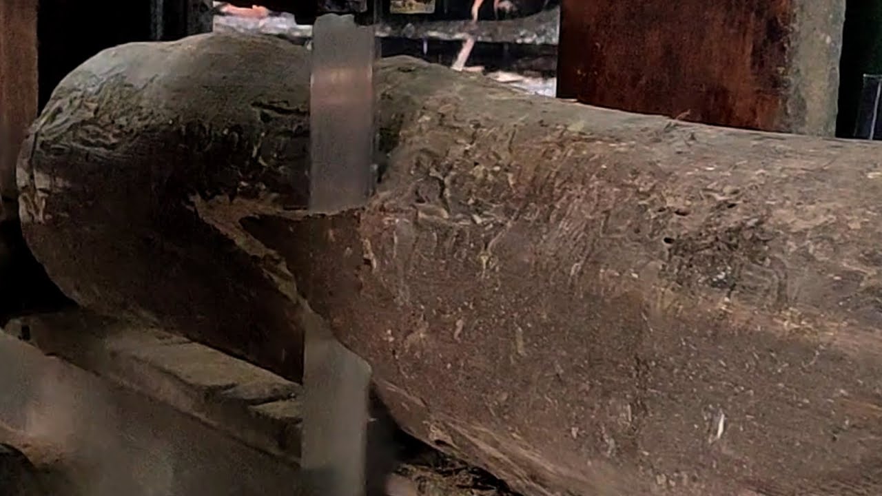 Decades of abandoned wood retains the beauty of its special grain at the sawmill. 