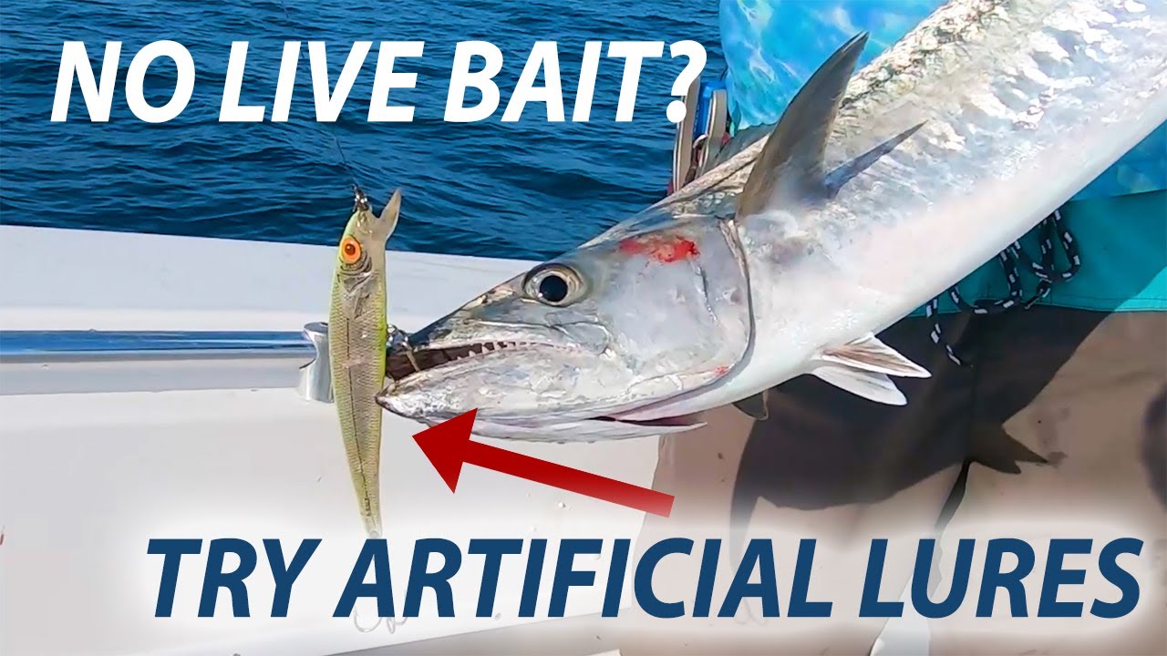 Kingfish on Artificial Lure in Jacksonville Florida