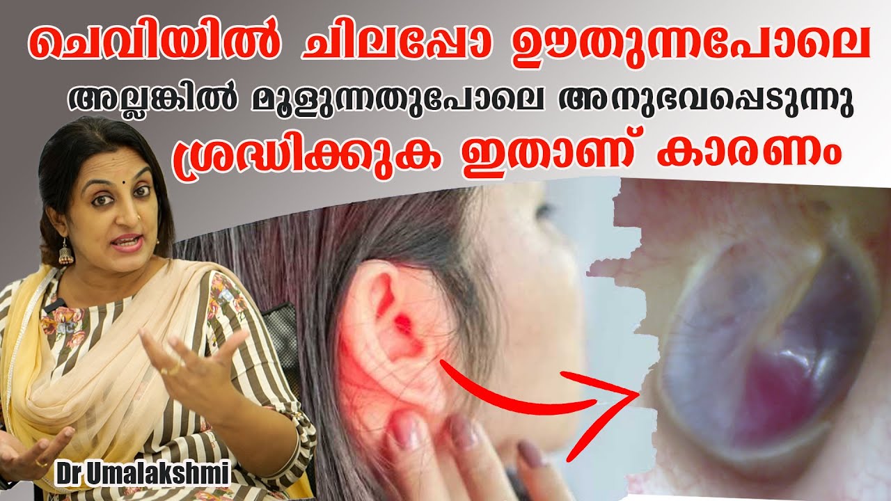 ചെവിയിൽ ചിലപ്പോ ഊതുന്നപോലെ  അല്ലങ്കിൽ മൂളുന്നതുപോലെ അനുഭവപ്പെടുന്നു ശ്രദ്ധിക്കുക  /Dr Umalakshmi