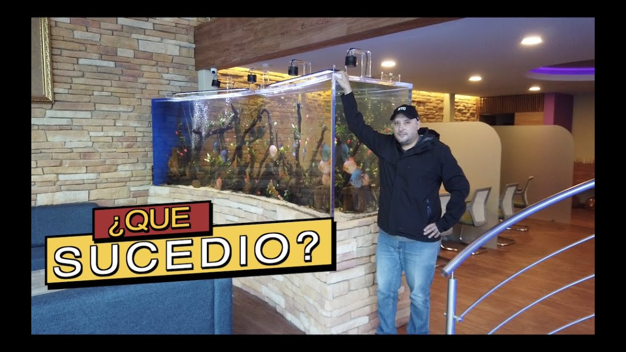 QUE PASO CON EL ACUARIO DE JAIME MAUSSAN?||||||😬🐠🐠