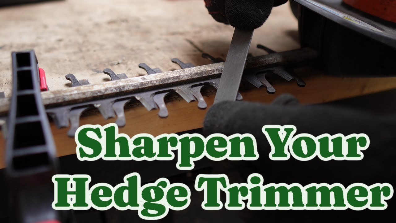 How To Sharpen Your Hedge Trimmer With a File