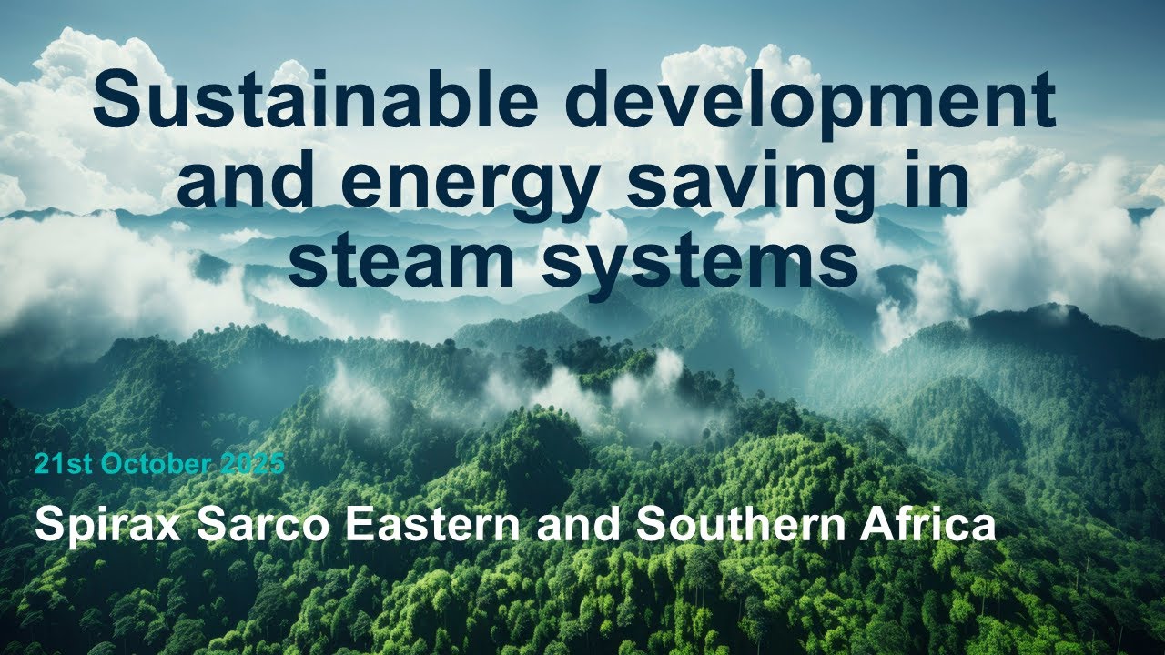 Sustainable development & energy saving in the steam industry