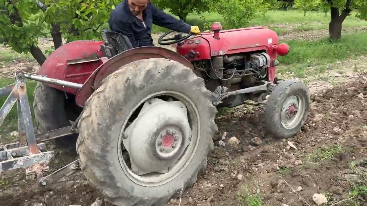 MASSEY FERGUSON 35X KAYISI BAHÇESİ SÜRÜMÜ