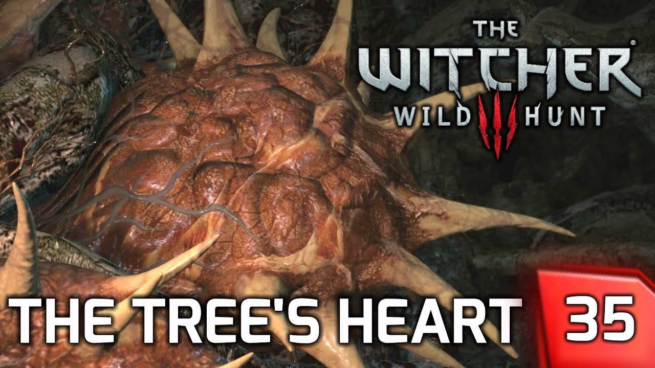 The Witcher 3: Destroying the Druid Spirit in the Tree's Heart - Story & Gameplay #35 [PC]