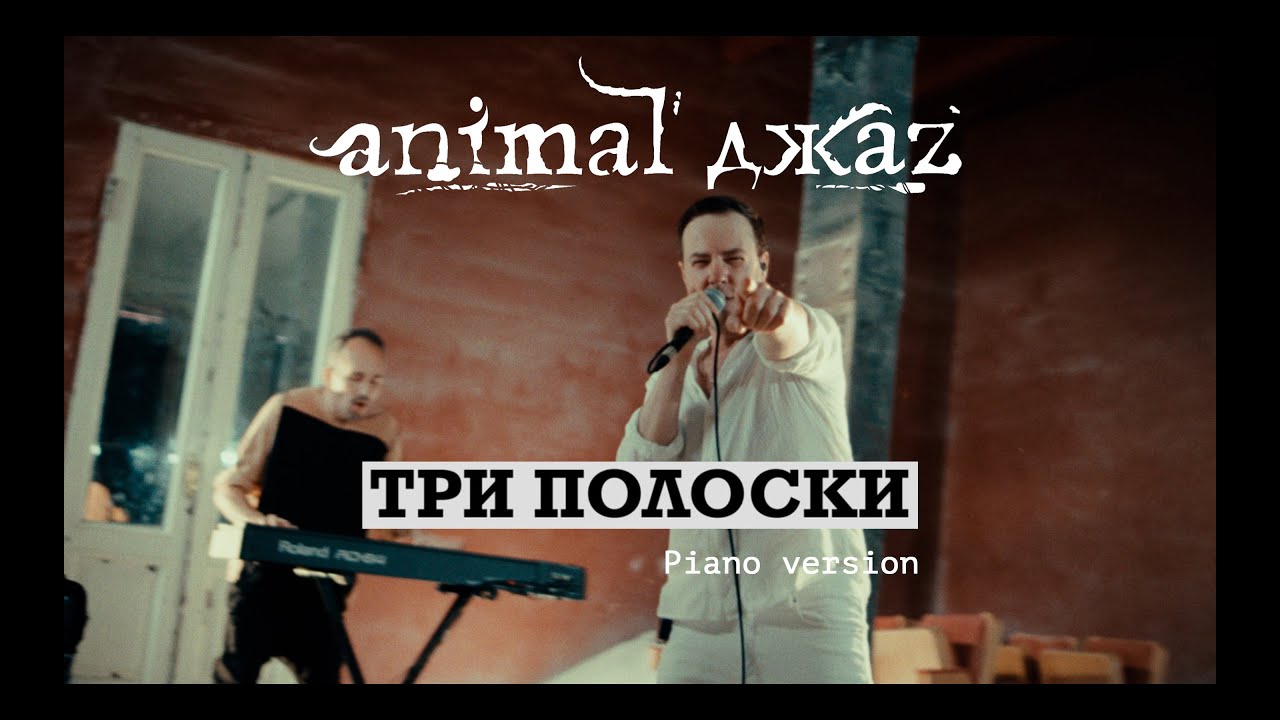 Animal ДжаZ — Три полоски (Piano version, Live, 2024)