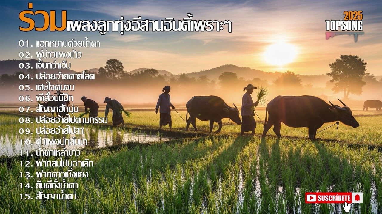 ร่วมเพลงลูกทุ่งอีสานอินดี้เพราะๆฟังสบายๆ | Official Audio
