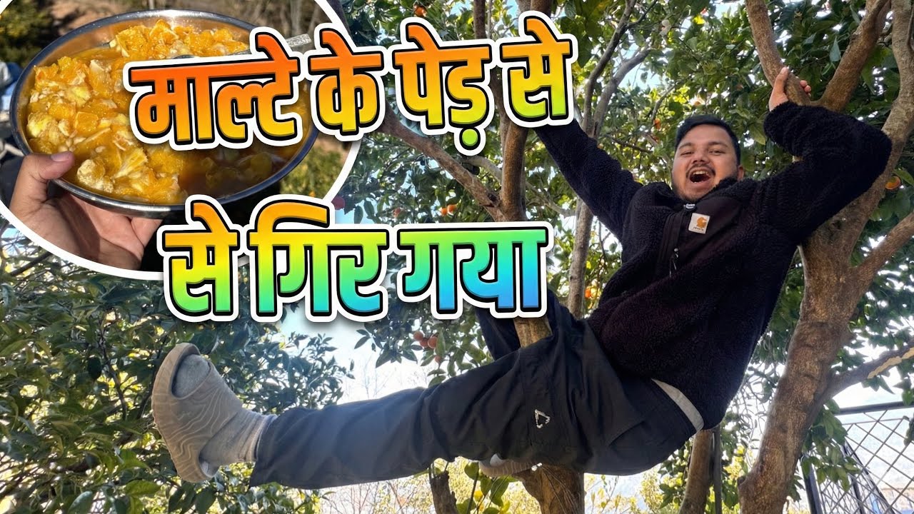|| माल्टा की खटाई के चकर में पेड़ से गिर गया था?||