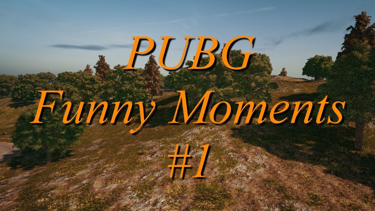 PUBG Funny Moments #1