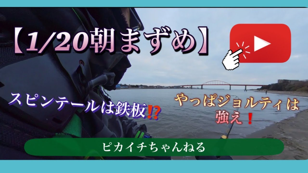 【こんな朝まずめだったらいいな】#朝まずめ＃シーバス＃スズキ釣り#コノシロ付き＃釣り＃fishing