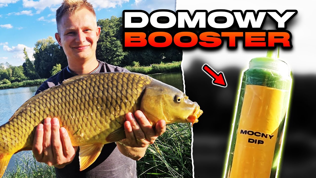 METHOD FEEDER: WIELKIE RYBY NA DOMOWY WĘDKARSKI DIP (2025)