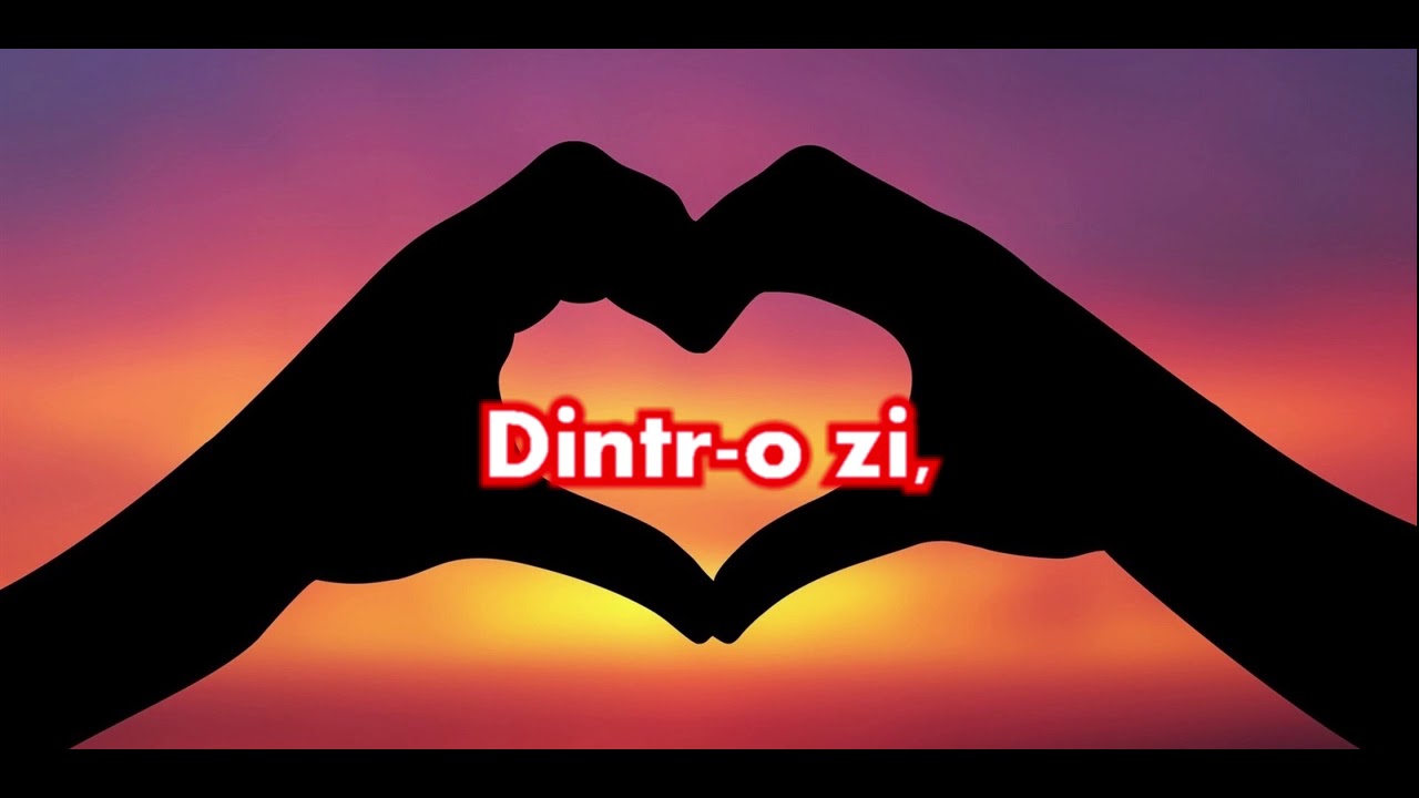 Mihaela Runceanu - De ar fi sa vii (karaoke)