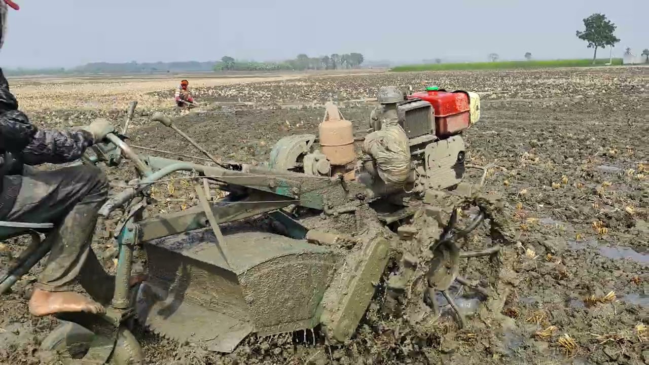 গ্রামে পাওয়ার টিলার দিয়ে ধান ক্ষেত প্রস্তুত করা হচ্ছে  Traditional Paddy Field Cultivation