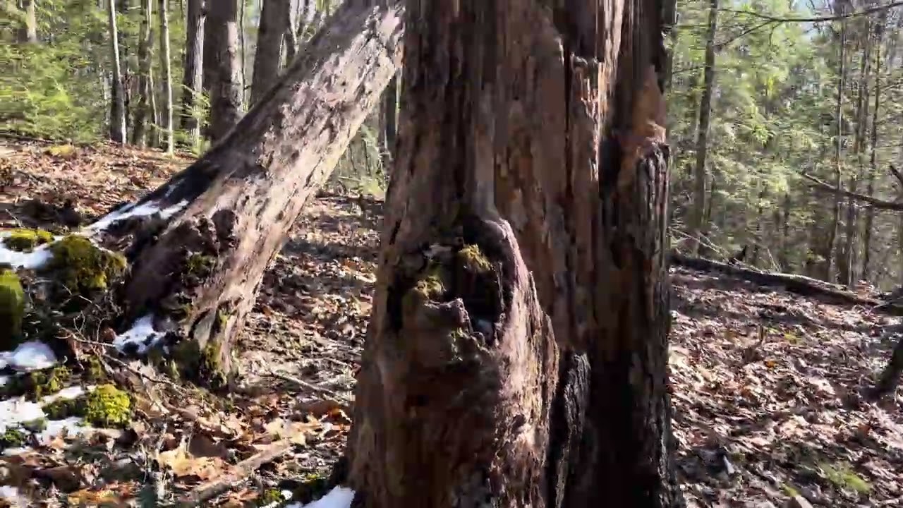 Beautiful morning in squatch Hotspot!