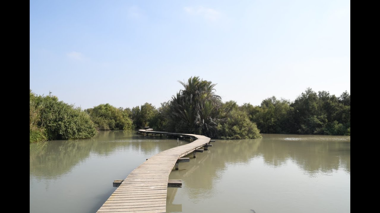 שמורת טבע עין אפק Ein Afek nature reserve