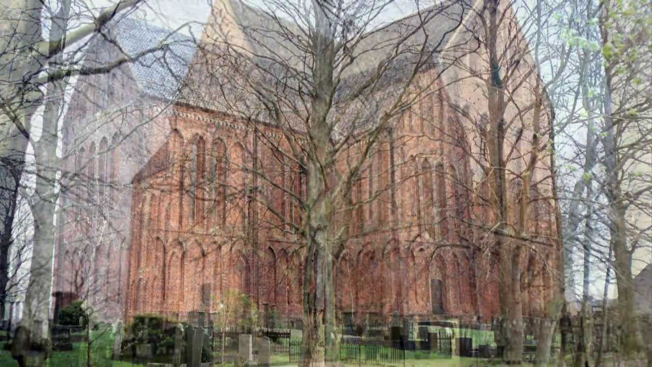 De romanogotische Petruskerk van het Groningse Zuidbroek.