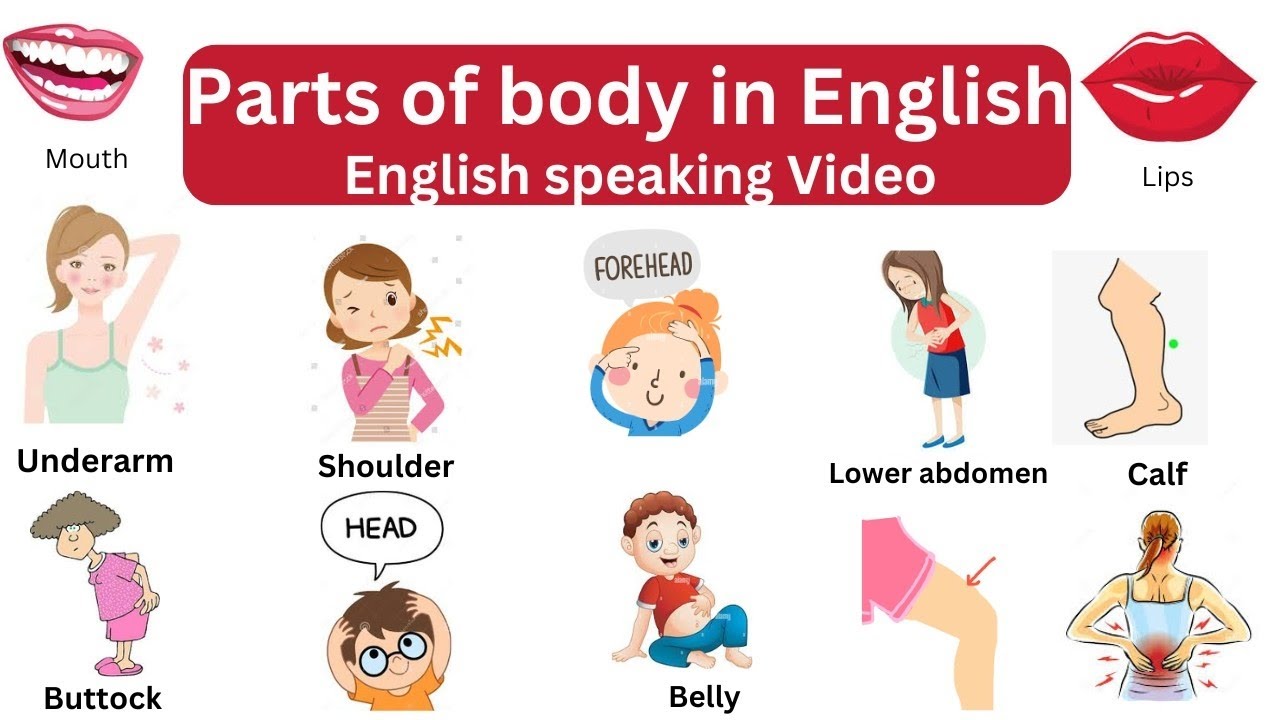 Parts of Body in English | Easy English Learning Videos for everyone