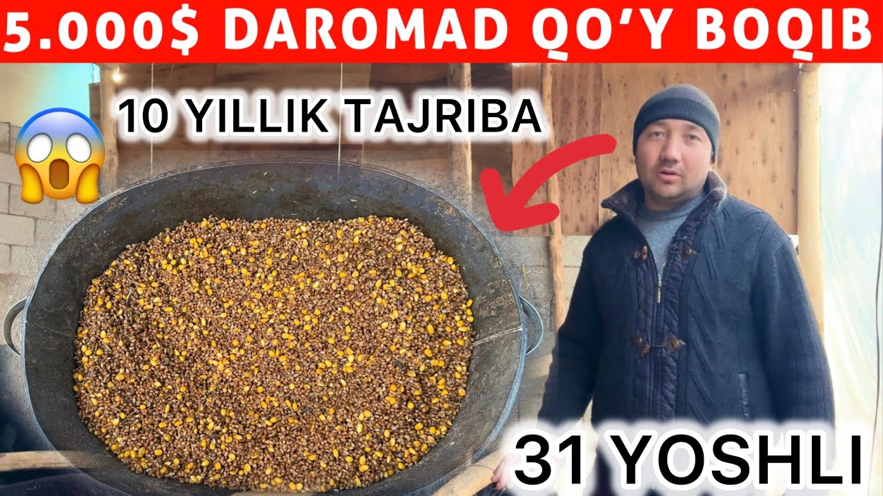  10 YILLIK TAJRIBA! 31 YOSHLI AKAMIZDAN QO‘Y BOQISH SIRLARI | 2026 | 5.000$ DAROMAD 💰