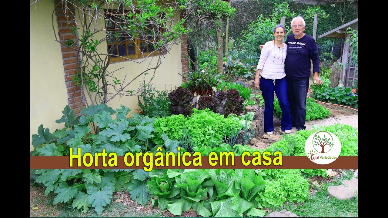 Horta orgânica em casa pelo calendário Lunar, produção saudável e de qualidade