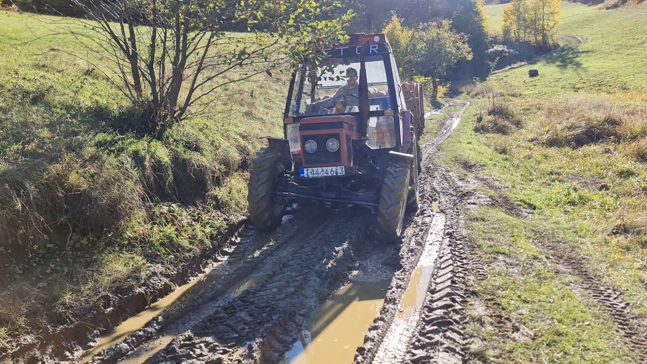 Zetor 5245 - U svom prirodnom staništu: NA BLATNOM PUTU! *Vožnja drva*