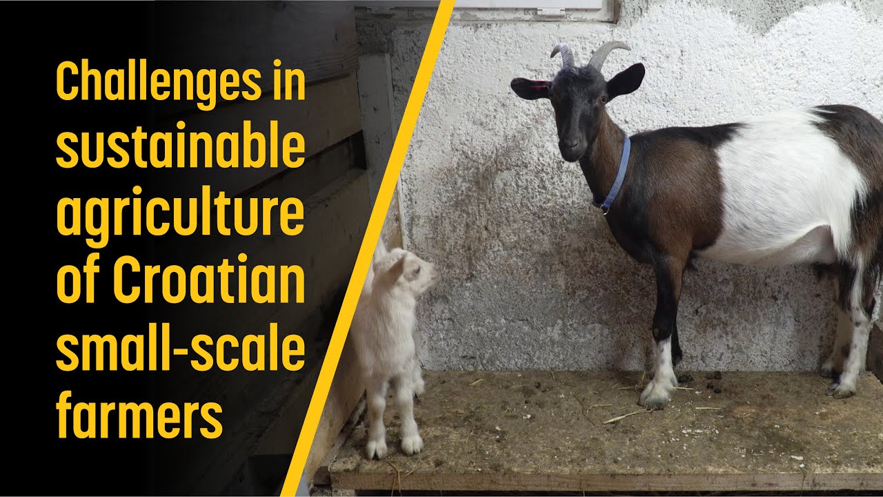 Challenges in sustainable agriculture of Croatian small-scale farmers